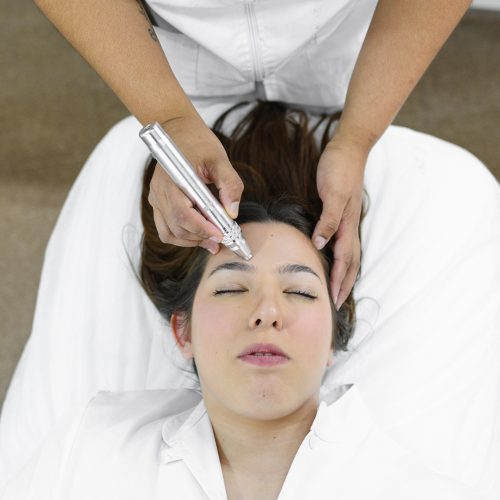 Técnico en Estética